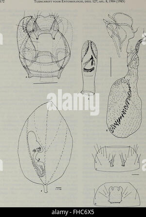 A journal dedicated to entomology, focusing on the study of insect ...