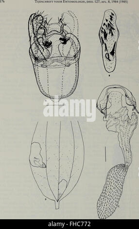 Insect Journal A journal from 1984 focusing on entomology Stock Photo - Alamy