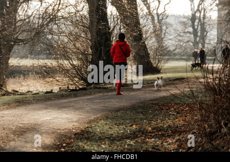 A woman in bright red jacket and wellies taking a winter walk with her dogs. Stock Photo
