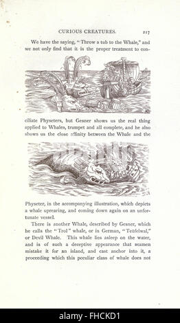 A fascinating exploration of unique and lesser-known creatures in the ...