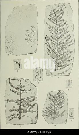 A comprehensive geological survey report detailing the geological ...