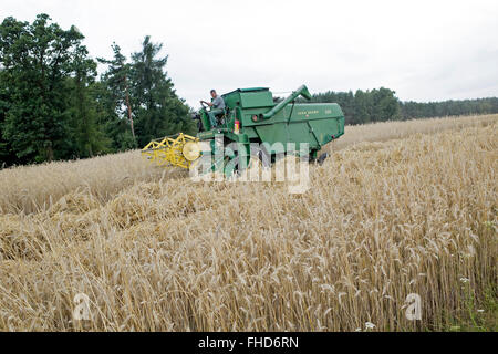 Modern John Deere combine harvester machine harvesting grain on a Polish farm field. Rzeczyca Central Poland Stock Photo