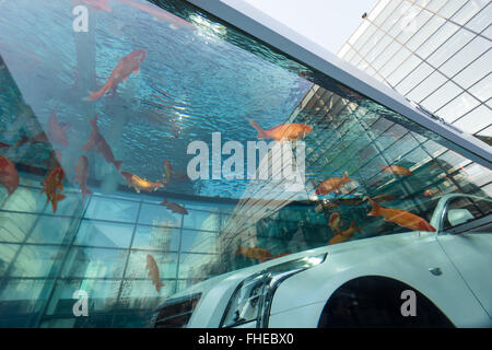 Shanghai, Shanghai, CHN. 25th Feb, 2016. A Luxury Car is put in a fish ...