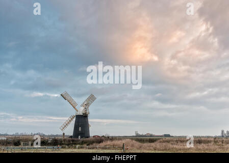 Cambridgeshire, UK. 25th February, 2016. There was a cloudy and overcast start to the day at the windmill on the outskirts of the village of Over in Cambridgeshire and the weather was warmer than forecast. Instead of the forecast sharp frost, cloud cover kept temperatures just over freezing. Credit: Julian Eales/Alamy Live News Stock Photo