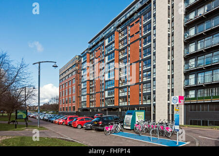 Templeton Court - the Verde Building - east of the old Templeton carpet factory in Bridgeton Glasgow Scotland Stock Photo