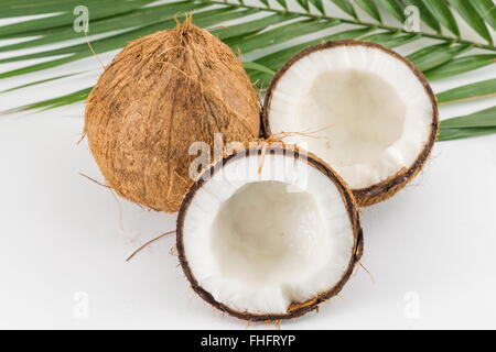 Halved and whole fresh coconuts with coconut leaves on white Stock Photo