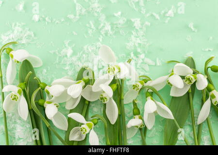 Fresh snowdrops on green background. Welcome spring Stock Photo