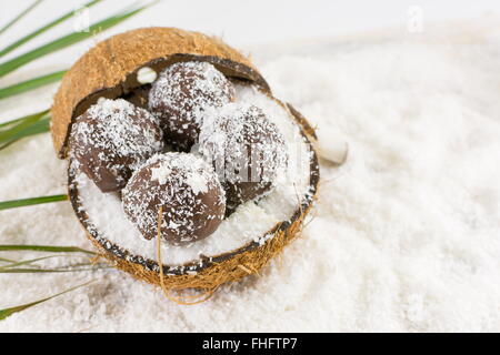 Fresh coconut and homemade coconut cookies on top of grounded coconut Stock Photo