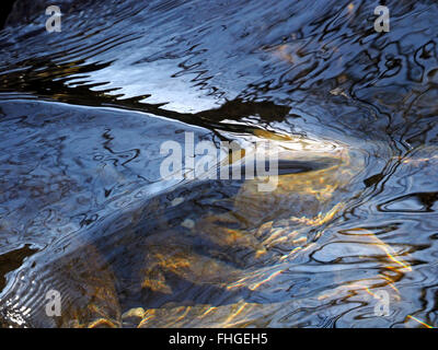 ripples and squiggly reflections on 3D surface of fast flowing sunlit stream captured as a moment in time Stock Photo