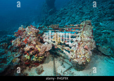 Shark Cage of Jacques Cousteau, Shaab Rumi, Red Sea, Sudan Stock Photo