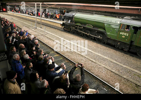 York railway station, UK, 25 February 2016. The newly restored LNER A3 class locomotive “Flying Scotsman” arrives after its inaugural comeback passenger-hauling journey from London King's Cross. The locomotive has been restored at a cost of £4.2 million and in addition to featuring in a new exhibition at the NRM's York location will be hauling special trains throughout the UK in the coming months. Credit:  david soulsby/Alamy Live News Stock Photo