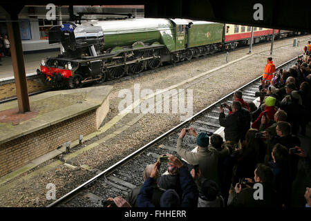 York railway station, UK, 25 February 2016. The newly restored LNER A3 class locomotive “Flying Scotsman” arrives after its inaugural comeback passenger-hauling journey from London King's Cross. The locomotive has been restored at a cost of £4.2 million and in addition to featuring in a new exhibition at the NRM's York location will be hauling special trains throughout the UK in the coming months. Credit:  david soulsby/Alamy Live News Stock Photo