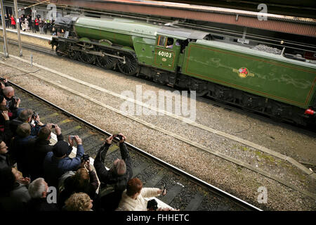 York railway station, UK, 25 February 2016. The newly restored LNER A3 class locomotive “Flying Scotsman” arrives after its inaugural comeback passenger-hauling journey from London King's Cross. The locomotive has been restored at a cost of £4.2 million and in addition to featuring in a new exhibition at the NRM's York location will be hauling special trains throughout the UK in the coming months. Credit:  david soulsby/Alamy Live News Stock Photo