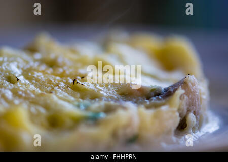 Salt cod brandade, detail from side. French restaurant prepared emulsion of salt cod and olive oil Stock Photo