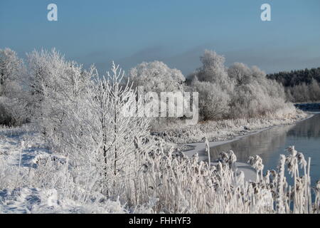 view on calm peaceful winter grove in shine rime on the river bank Stock Photo