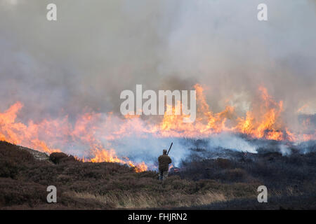 North Pennines, County Durham. 25th February, 2016. UK Weather. Cool, dry and calm weather has given gamekeepers an opportunity to use controlled heather burning as part of their grouse moor management. Each year before the nesting season begins sections of heather are burnt to encourage new shoots to grow which are fed on by Red Grouse. Credit:  David Forster/Alamy Live News Stock Photo