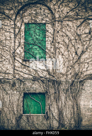 old abandoned building with vines and boarded up green windows Stock Photo