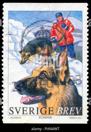 BUDAPEST, HUNGARY - 21 february 2016: a stamp printed in the Sweden shows German shepherd, circa 2001 Stock Photo
