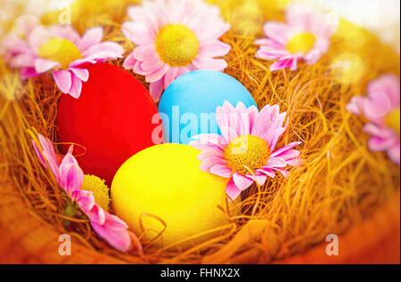 Beautiful Easter still life, three dyed in different colors eggs lying in the nest decorated with gentle pink daisy flowers Stock Photo