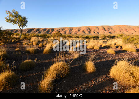 View of the West MacDonnell Ranges, Northern Territory, NT, Australia Stock Photo