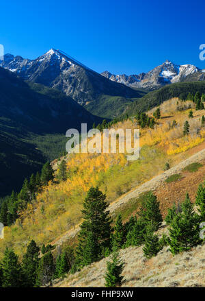 fall colors in the spanish peaks of the lee metcalf wilderness in the madison range near gallatin gateway, montana Stock Photo
