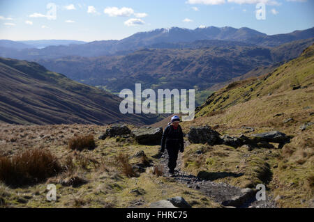 Lone Lady Heading Towards Grisedale Hause on Wainwrights Coast to Coast Path from Tongue Gill above the Grasmere Valley Stock Photo