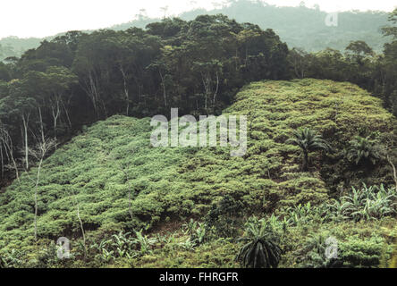 Beautiful landscape in the mountains in Amedzofe in the Volta Region, Ghana Stock Photo