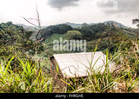 Beautiful landscape in the mountains in Amedzofe in the Volta Region, Ghana Stock Photo