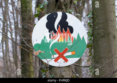 No smoking in the forest, fire danger warning sign on a tree, Hesse, Germany Stock Photo