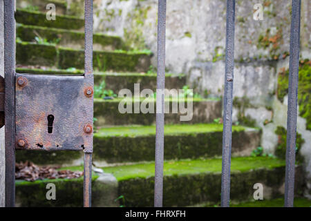 rusty gate closed before a moss-covered stairs Stock Photo