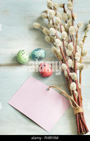 Easter eggs, willow twigs and blank paper card background concept Stock Photo