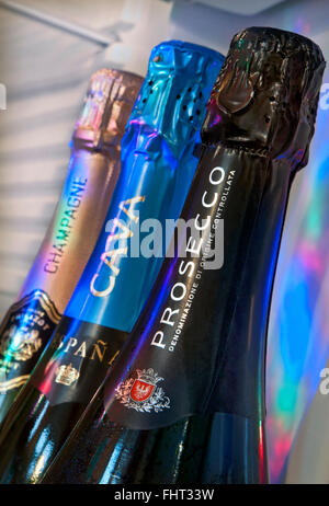 PROSECCO CAVA CHAMPAGNE Chilled sparkling wines in domestic refrigerator door Prosecco bottle in foreground Cava & Champagne behind in party lighting Stock Photo