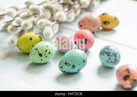 Easter eggs and cherry flowers abstract retro background Stock Photo