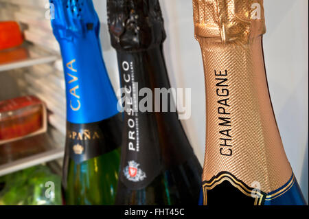 CHAMPAGNE PROSECCO CAVA Selection of chilled European sparkling wines in domestic refrigerator door Champagne in foreground Prosecco & Cava behind Stock Photo