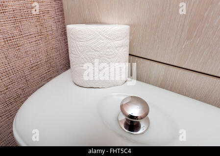 A soft white hygienic toilet paper roll is put on the flush, in the restroom Stock Photo