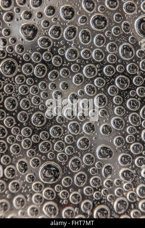 Water drops on transparent glass background. Stock Photo