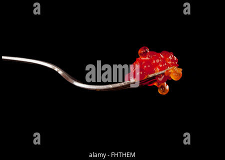 Caviar on fork isolated. Stock Photo