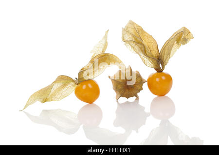 Physalis, ground cherry. Stock Photo