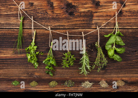 Culinary herbs. Stock Photo