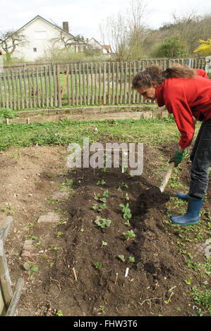 Fertilize with kompost Stock Photo