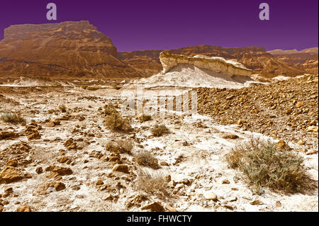 Evening in Desert Stock Photo