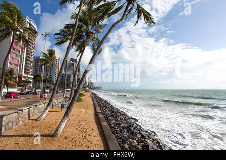 Palm tilted by the action of the wind on the edge of Praia de Boa Viagem Stock Photo