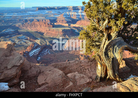 Views of Canyonlands National Park from Dead Horse Point State Park near Moab, Utah Stock Photo