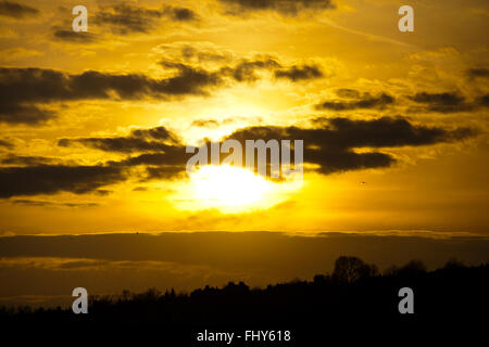 London UK. 26th February, 2016. UK Weather: A beautiful warm orange sunset in North London after a cold and sunny day. Credit:  Dinendra Haria/Alamy Live News Stock Photo