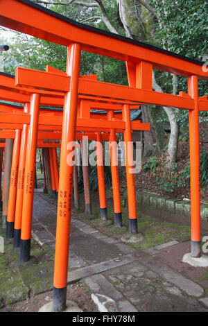 Japan, Nagasaki, Suwa Shrine, torii gates, Stock Photo