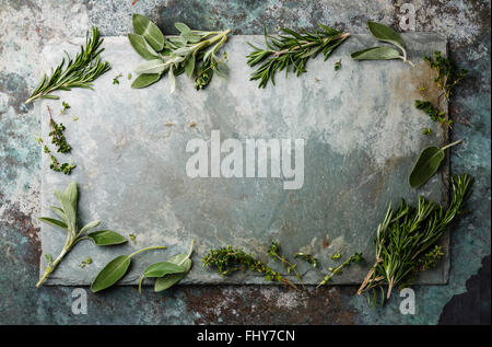 Fresh spicy herbs frame composition on Gray stone slate background texture Stock Photo