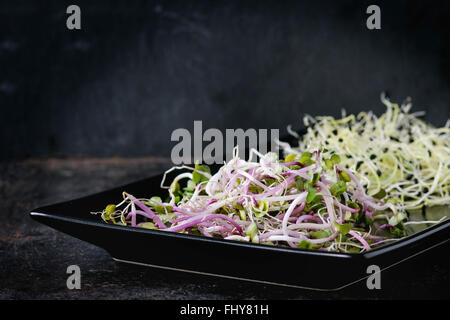 Healthy diet. Fresh Garlic and Radish Sprouts on black square plate over black metal surface. Side view.