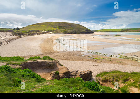 The beautiful golden sandy beach at Daymer Bay located on the River Camel Estuary near Rock and Padstow Cornwall England UK Stock Photo