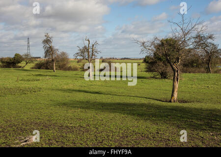 Fields overlooking the Marshes at Chalk near Gravesend Stock Photo