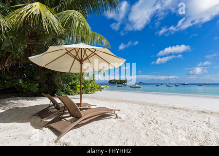 Seychelles, Praslin, Anse Volbert, Chauve Souris Island and Saint Pierre, beach with sun loungers Stock Photo